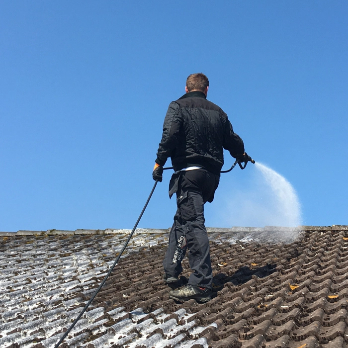 Roof Cleaning Dallas Oregon