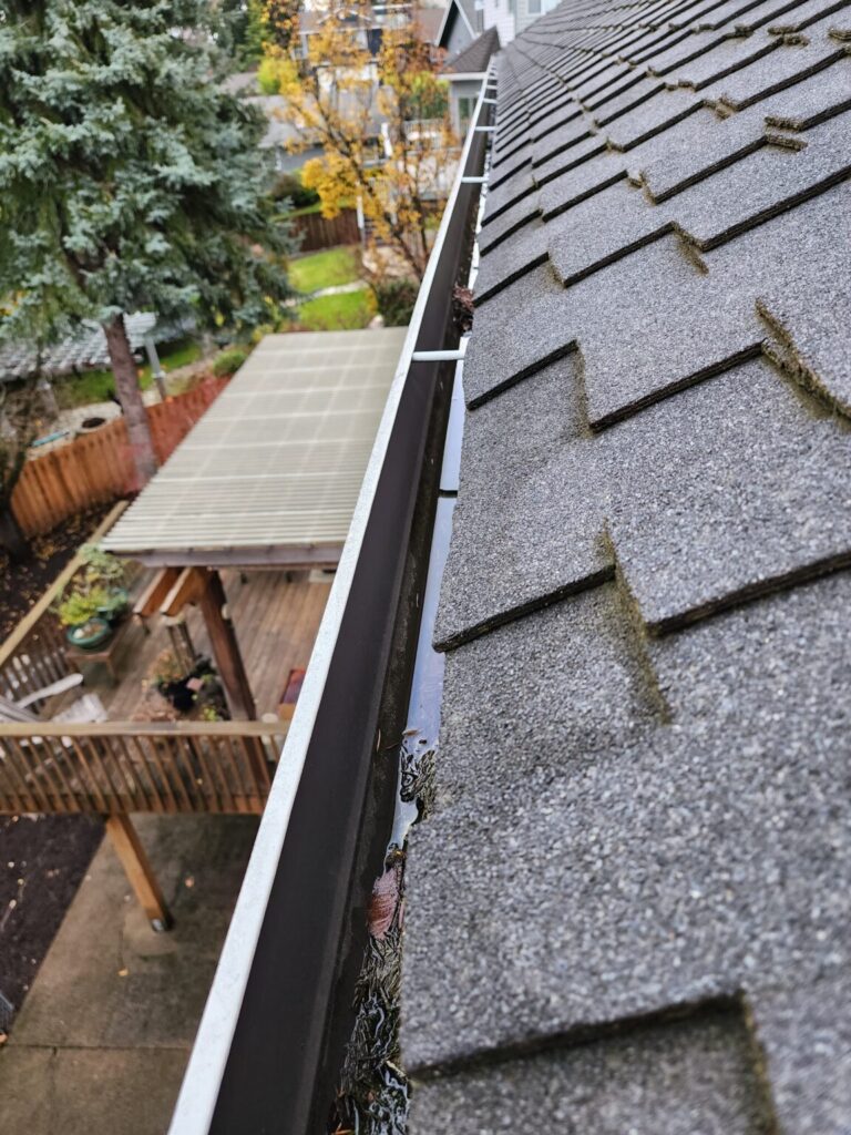 Gutter Cleaning Albany Oregon