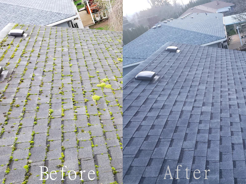 Roof Cleaning Salem Oregon