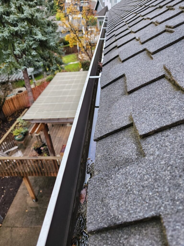 Gutter Cleaning Dallas Oregon On Top