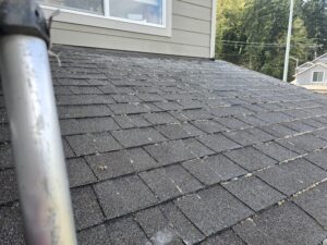 Roof Moss Cleaning Salem Oregon