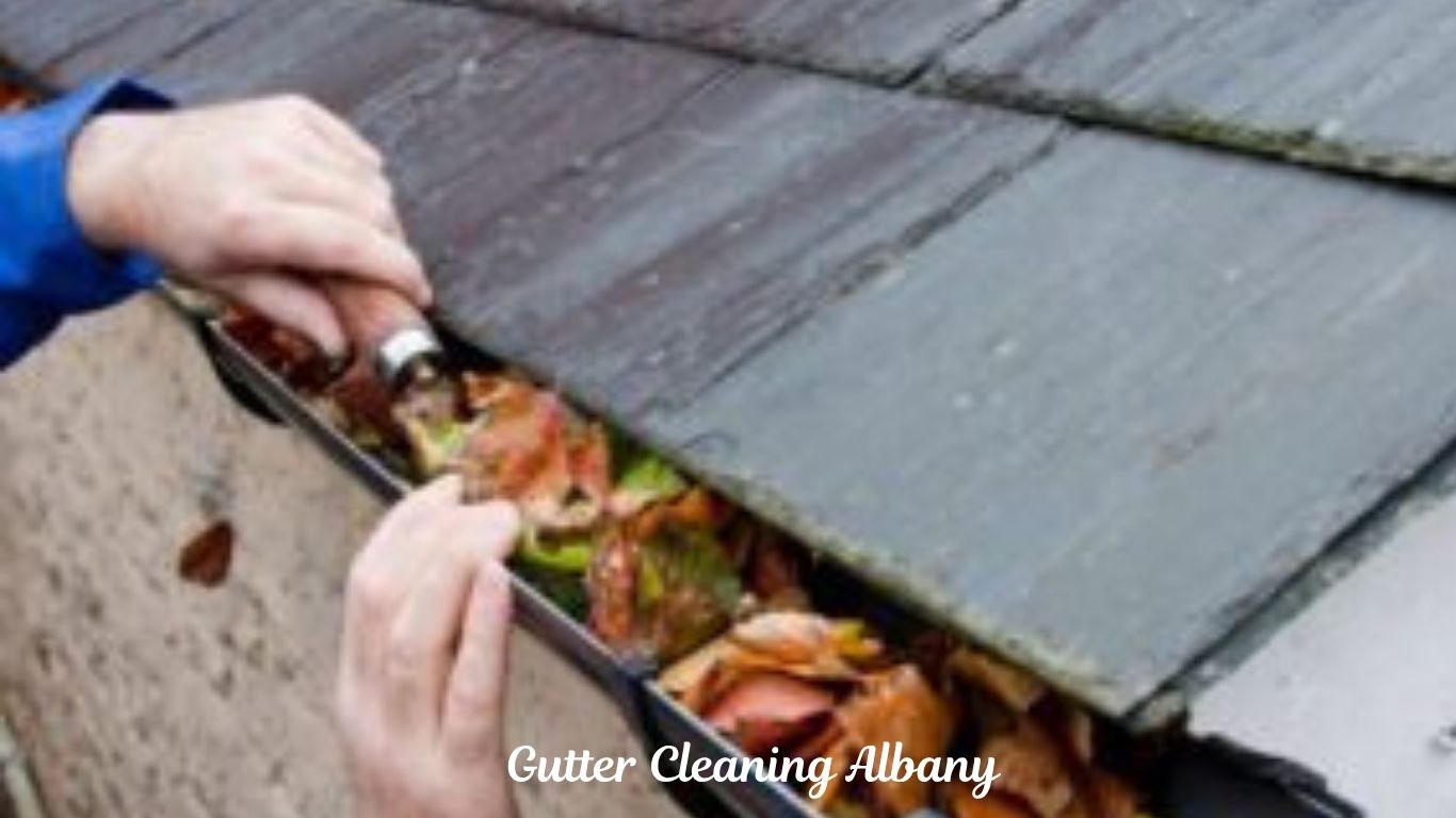 Gutter Cleaning Albany Oregon