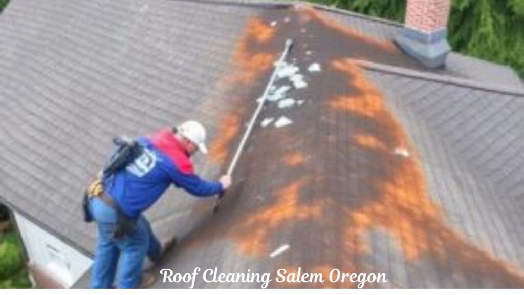 Roof Cleaning Salem Oregon