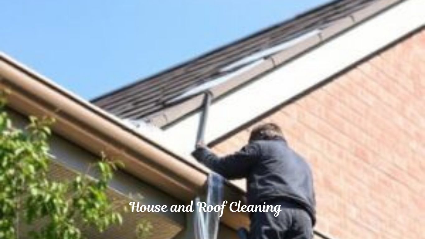 House and Roof Cleaning