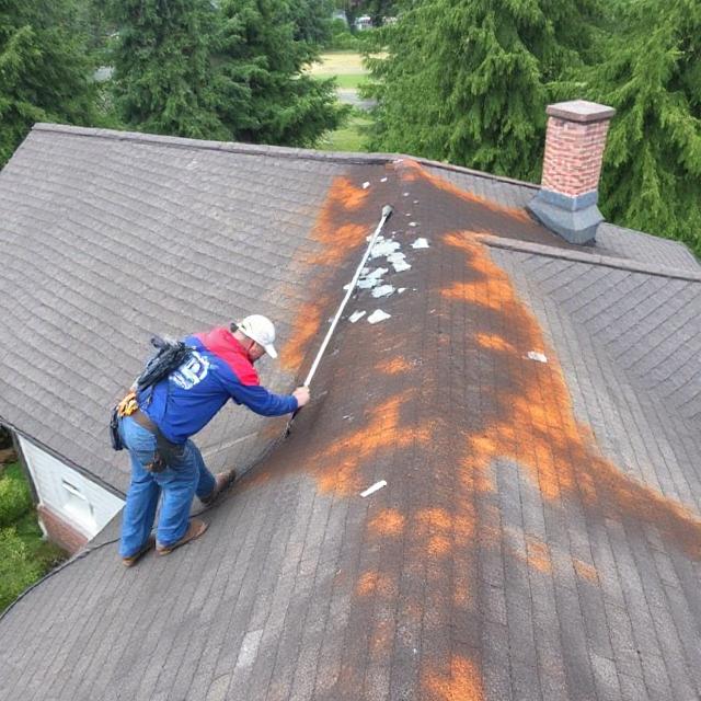 Roof Cleaning Salem Oregon