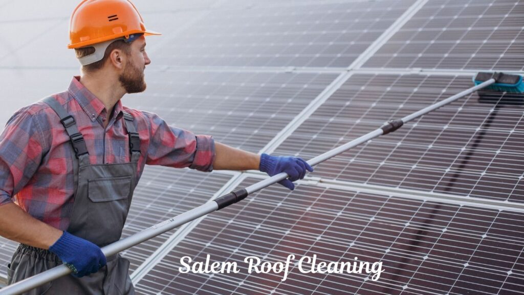 Salem Roof Cleaning
