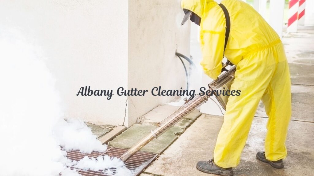 Albany Gutter Cleaning Services