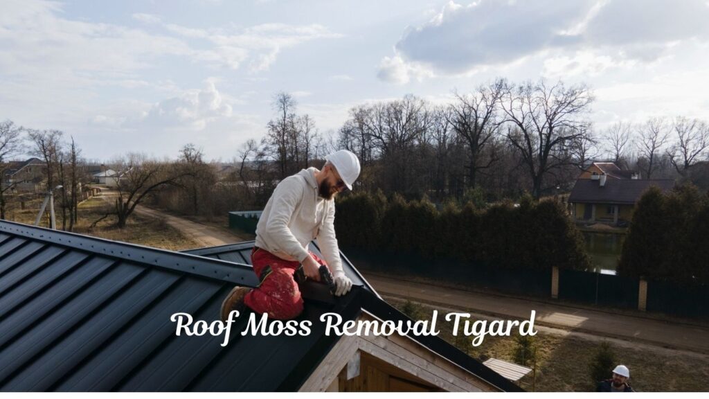 Roof Moss Removal Tigard