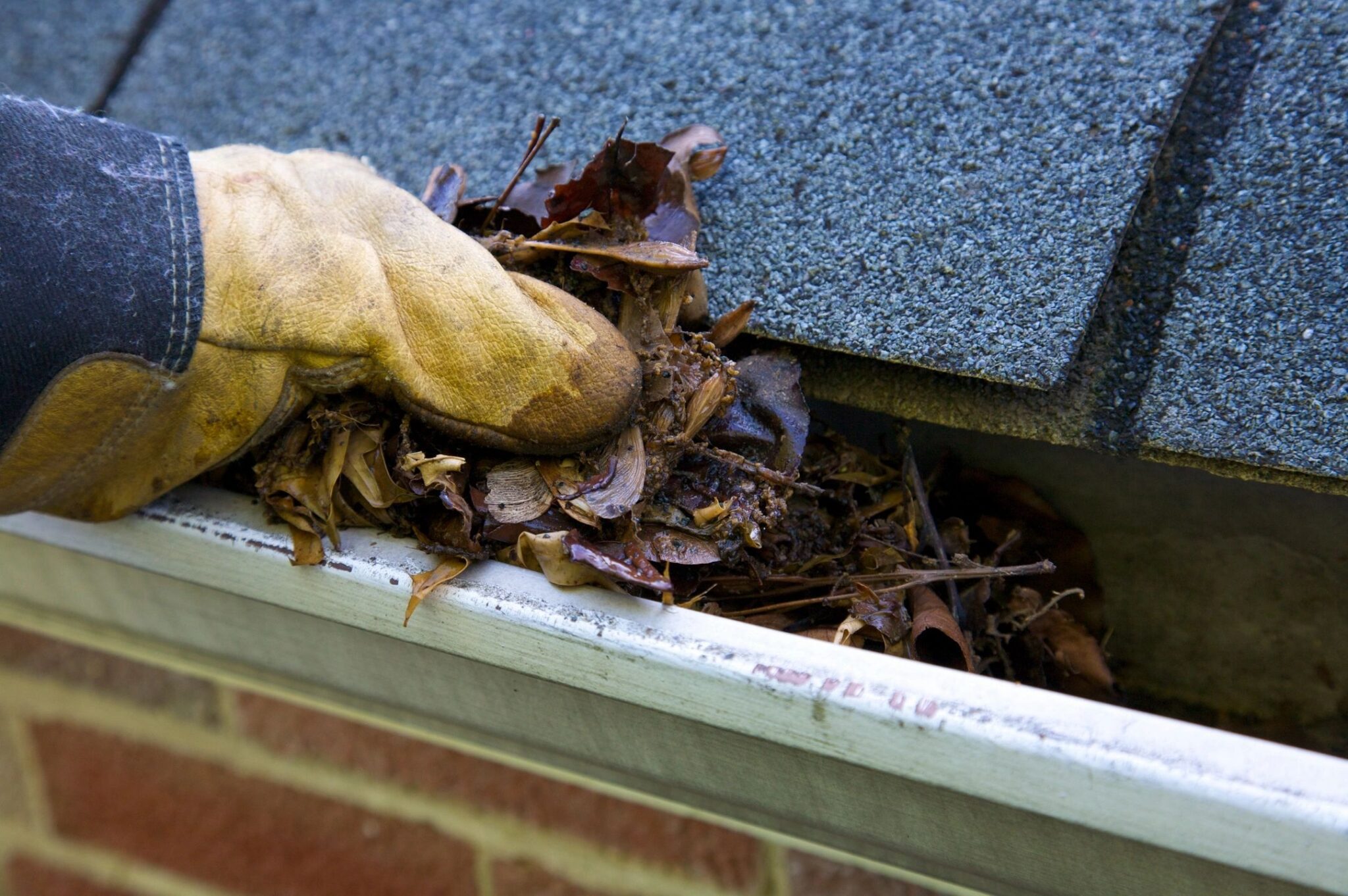 Gutter and Downspout Cleaning Salem OR