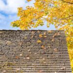 Roof Cleaning Services Albany