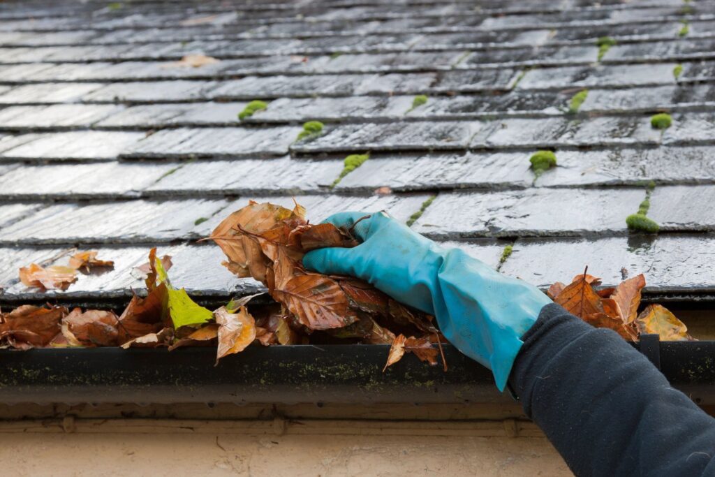 Handyman Gutter Cleaning