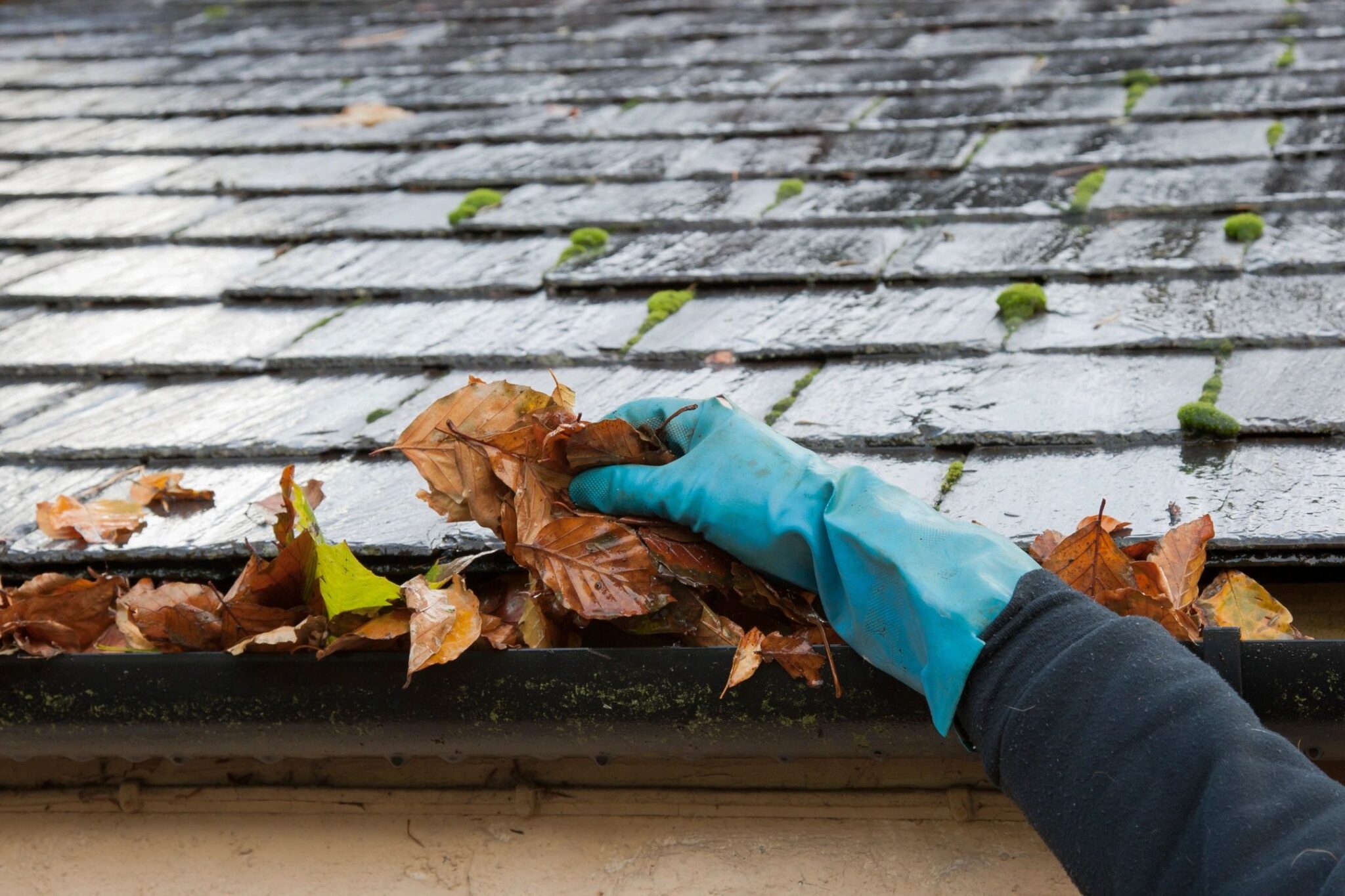 Handyman Gutter Cleaning