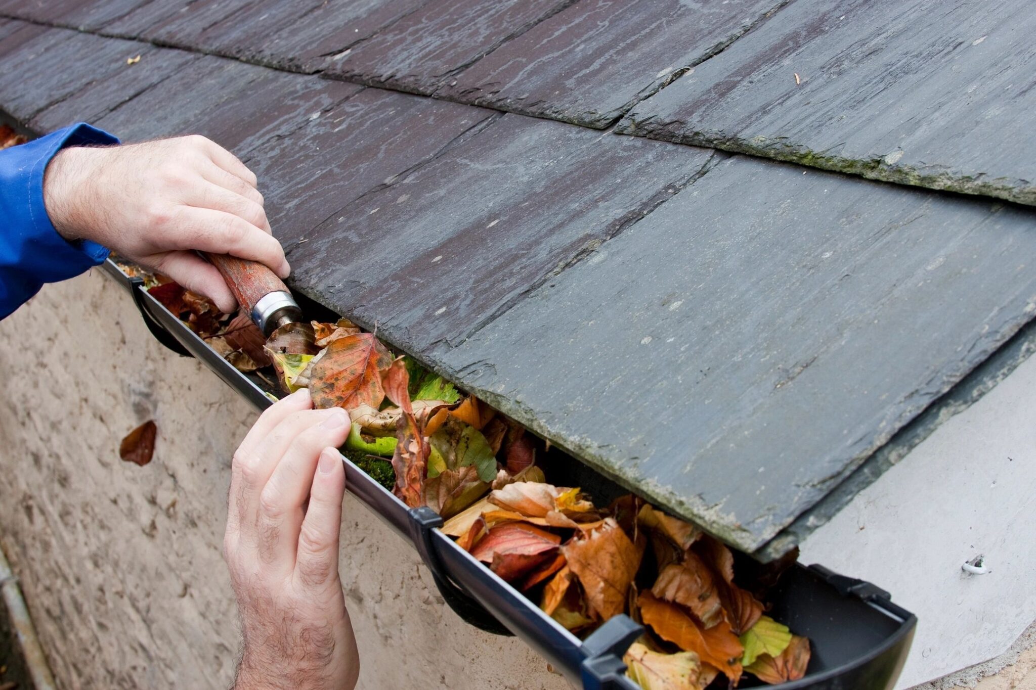 Gutter Cleaning Albany Oregon