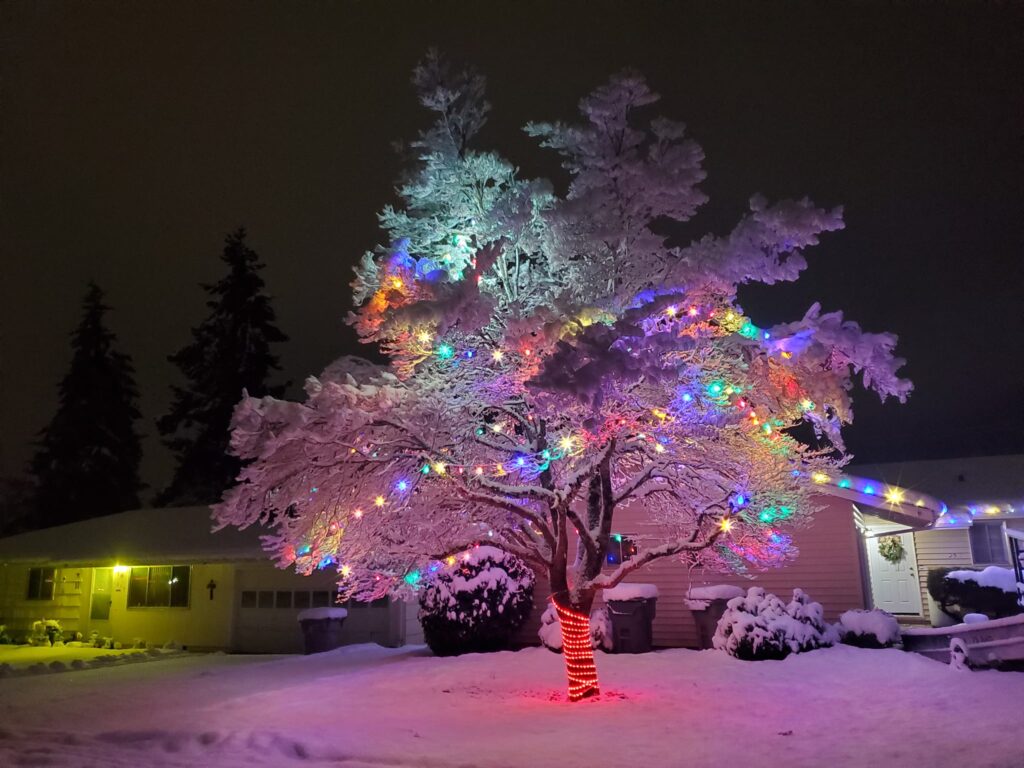 Christmas Lights Dallas Oregon