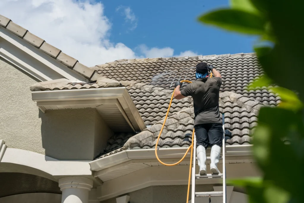 best roof cleaning services near me