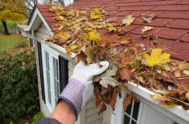 gutter cleaning