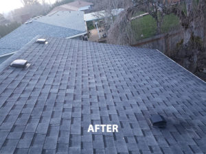 Beaverton Oregon Roof Cleaning After