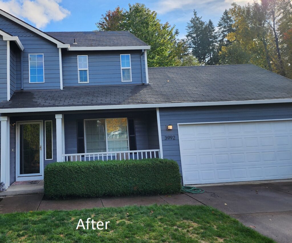 Beaverton OR Roof Moss Cleaning After