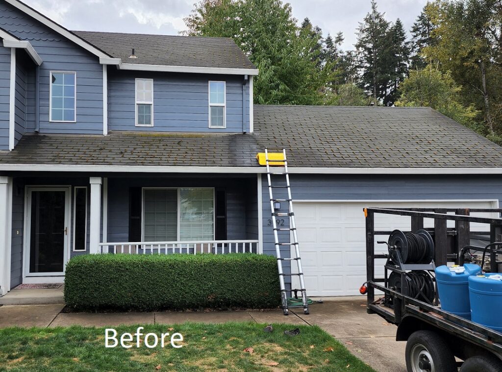 Beaverton OR Roof Moss Cleaning Before