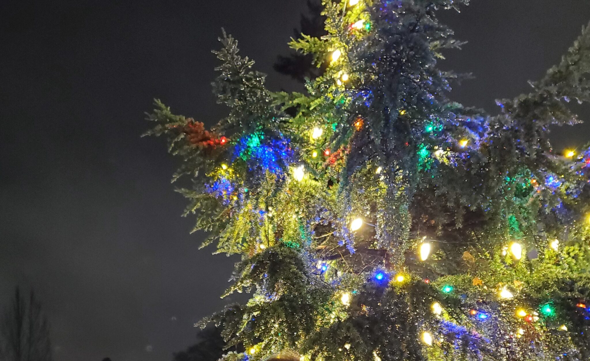 Holiday Lighting Service Albany OR