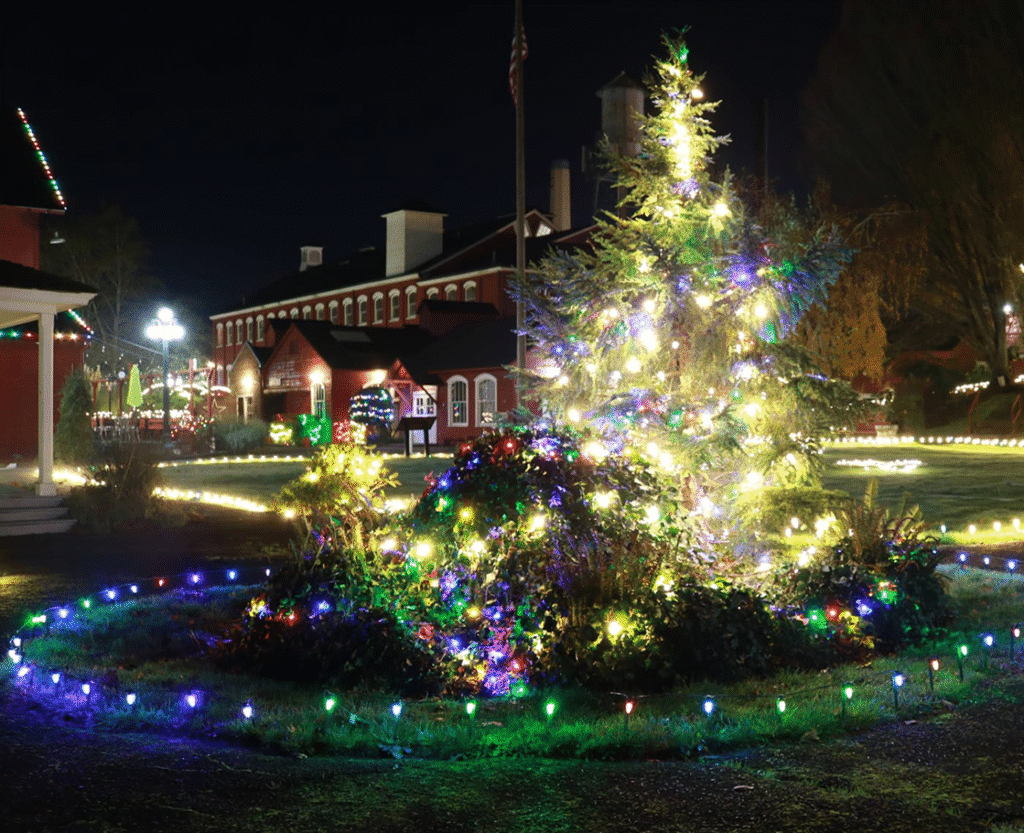Hanging Christmas Lights Salem Oregon
