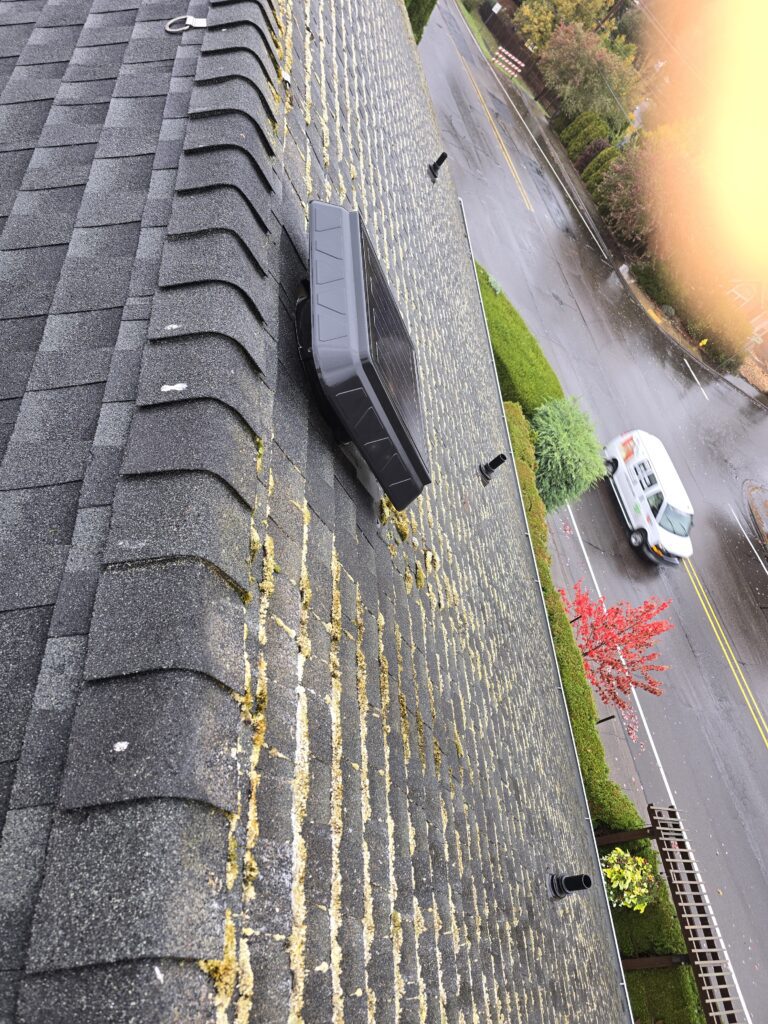 Softwash roof cleaning Moss Removal Tigard Oregon